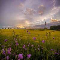 Lesen LED Bilder Bewertungen